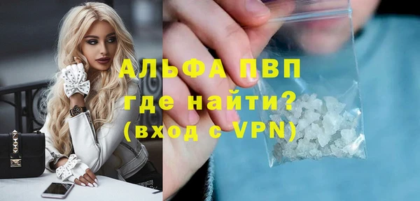 стафф Алексин