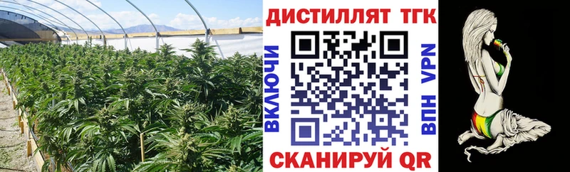 ТГК жижа  KRAKEN tor  Балашиха 