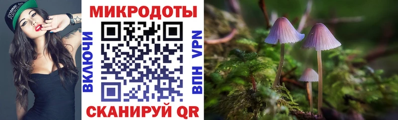 Галлюциногенные грибы GOLDEN TEACHER  закладки  Балашиха 